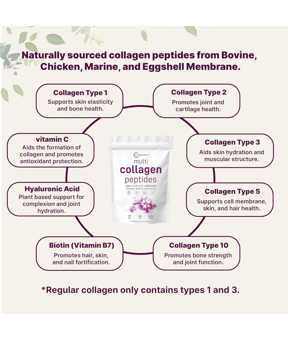 Multi Collagen Peptides Powder - Hydrolyzed Protein Peptides ( image 2